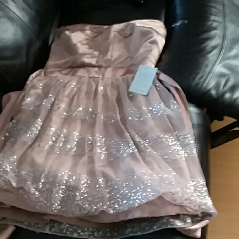 NWT Beautiful Trixie dress from Nordstrom